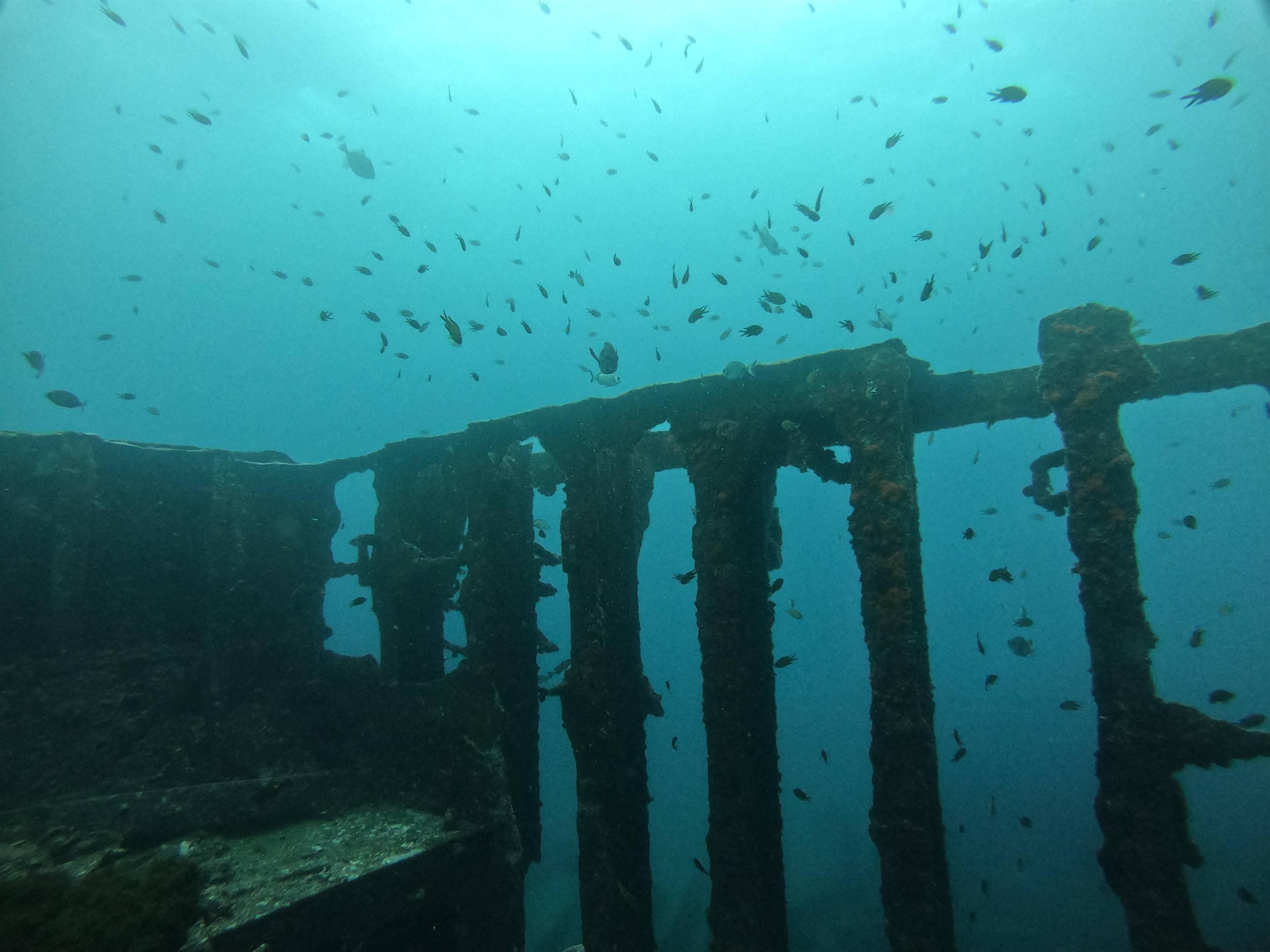 Dori Wreck