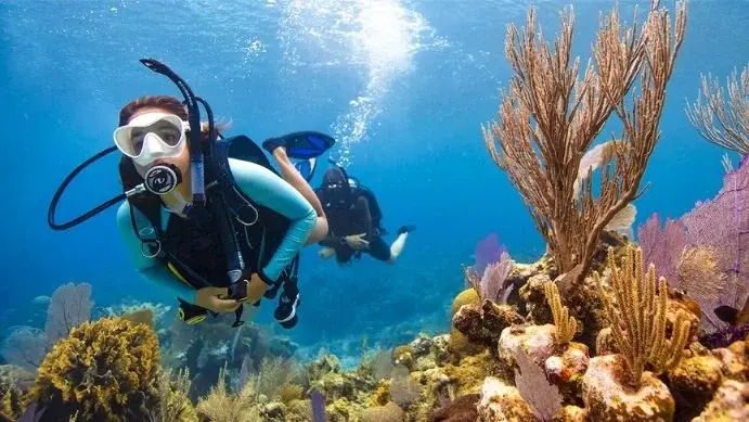 OpenWater Diver