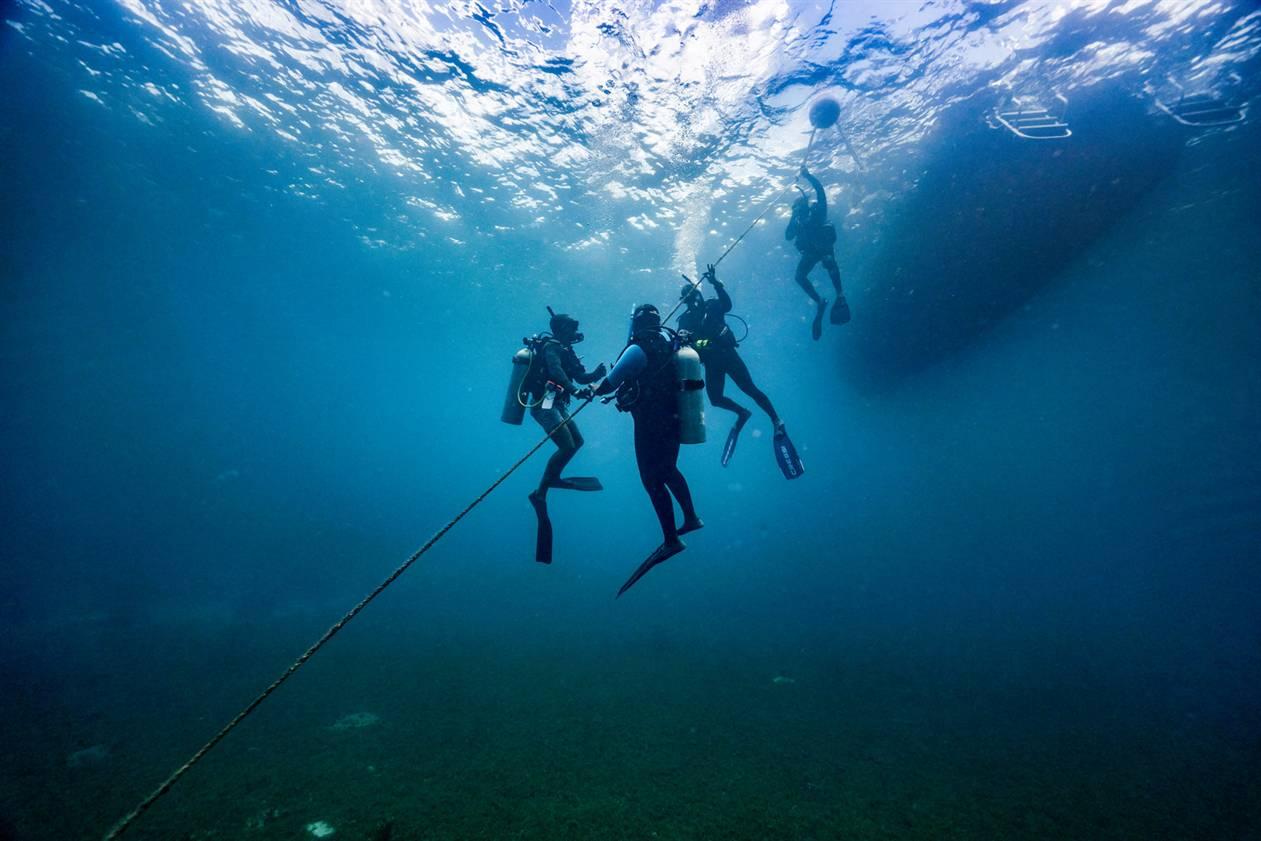 Open Water Diver