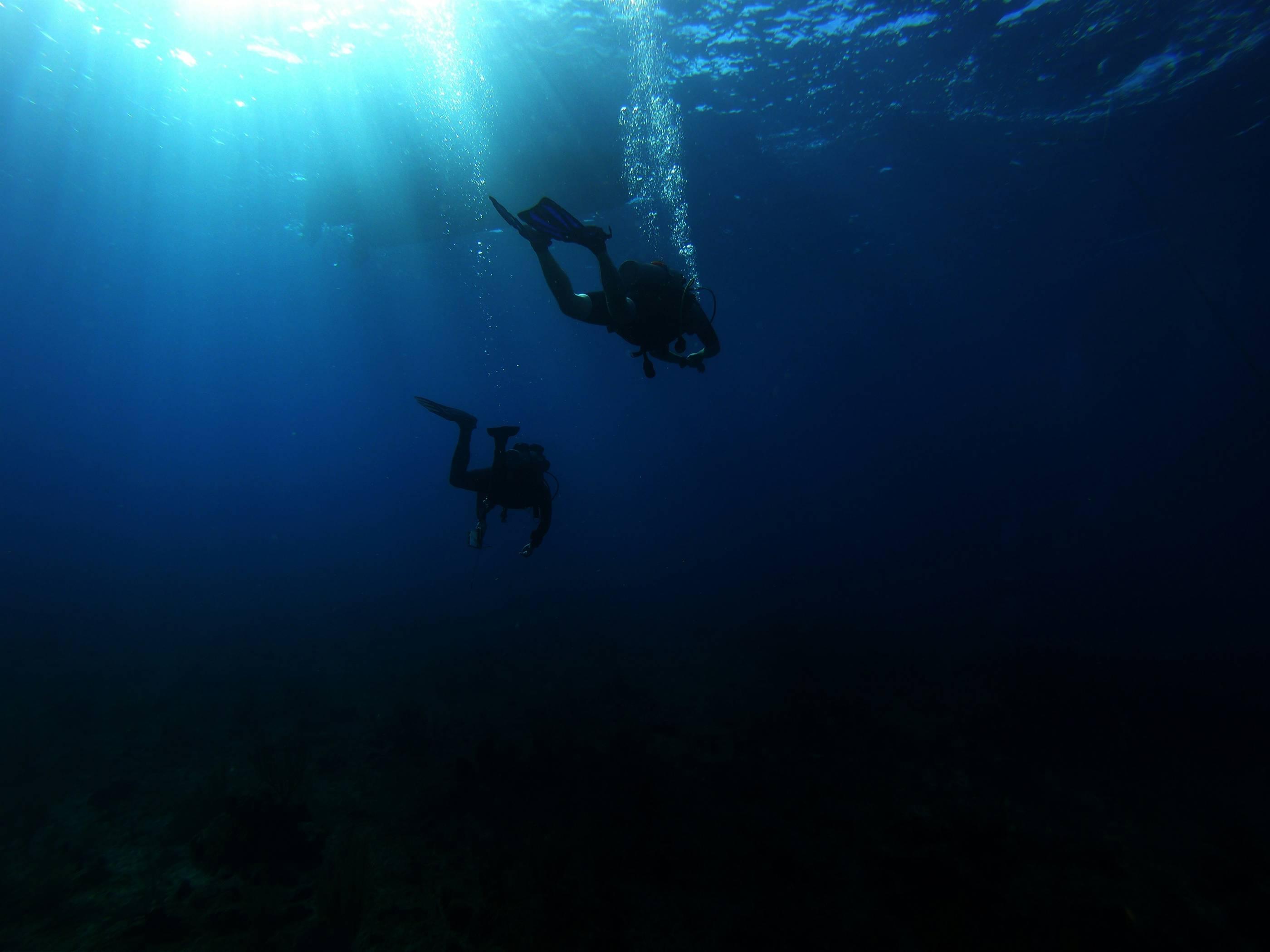 Divers