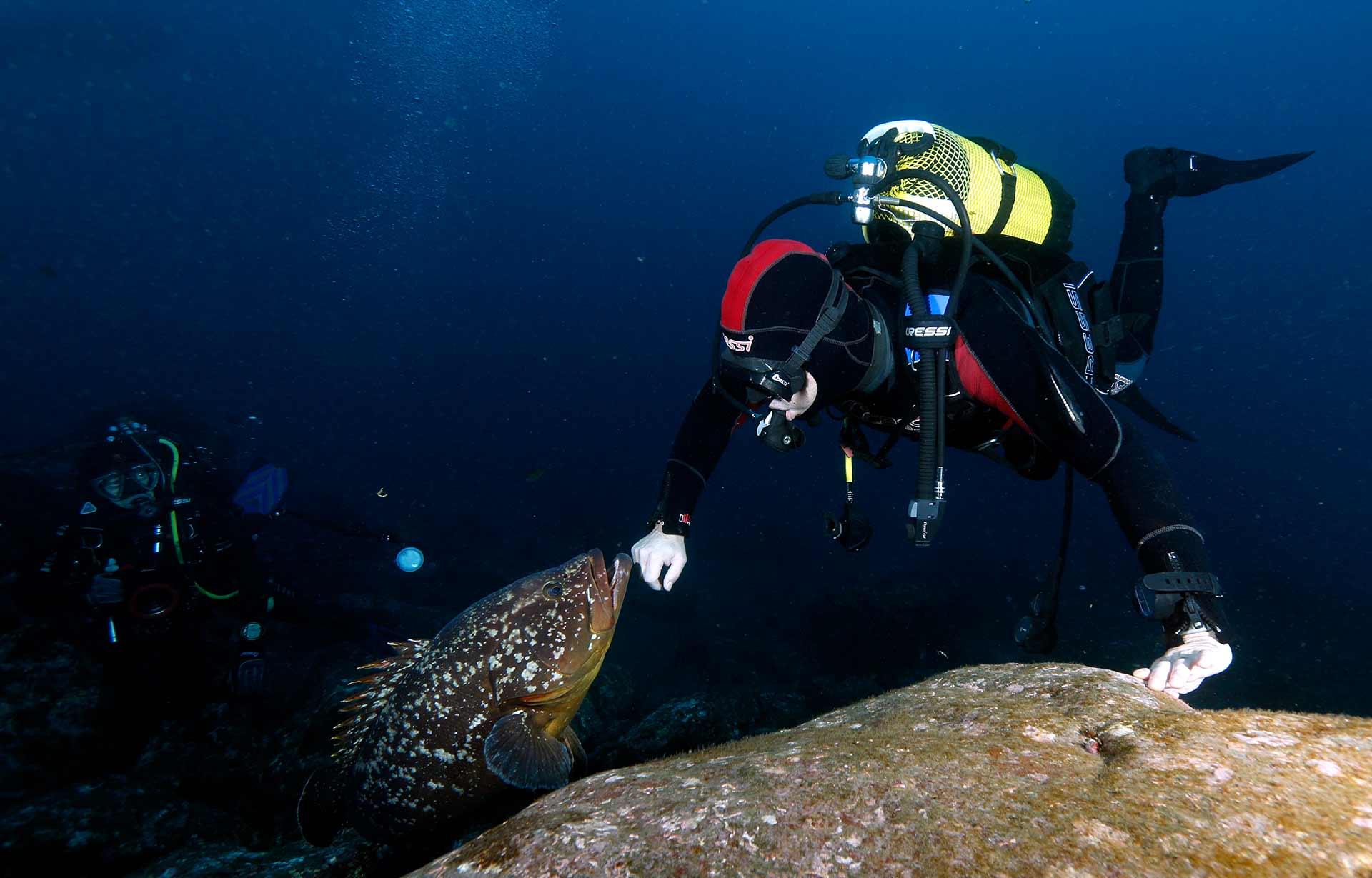 Advanced Diver