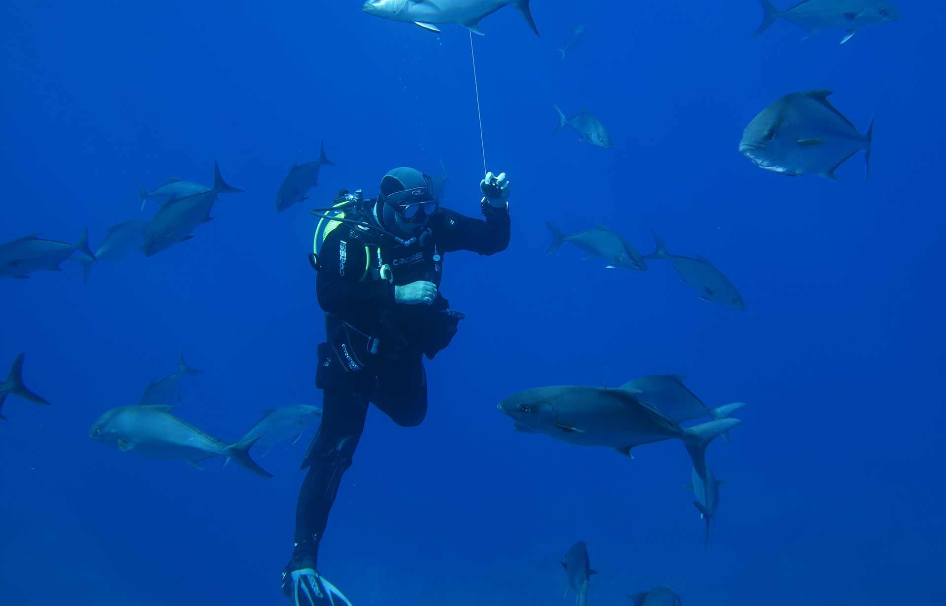 Diver holding SMB