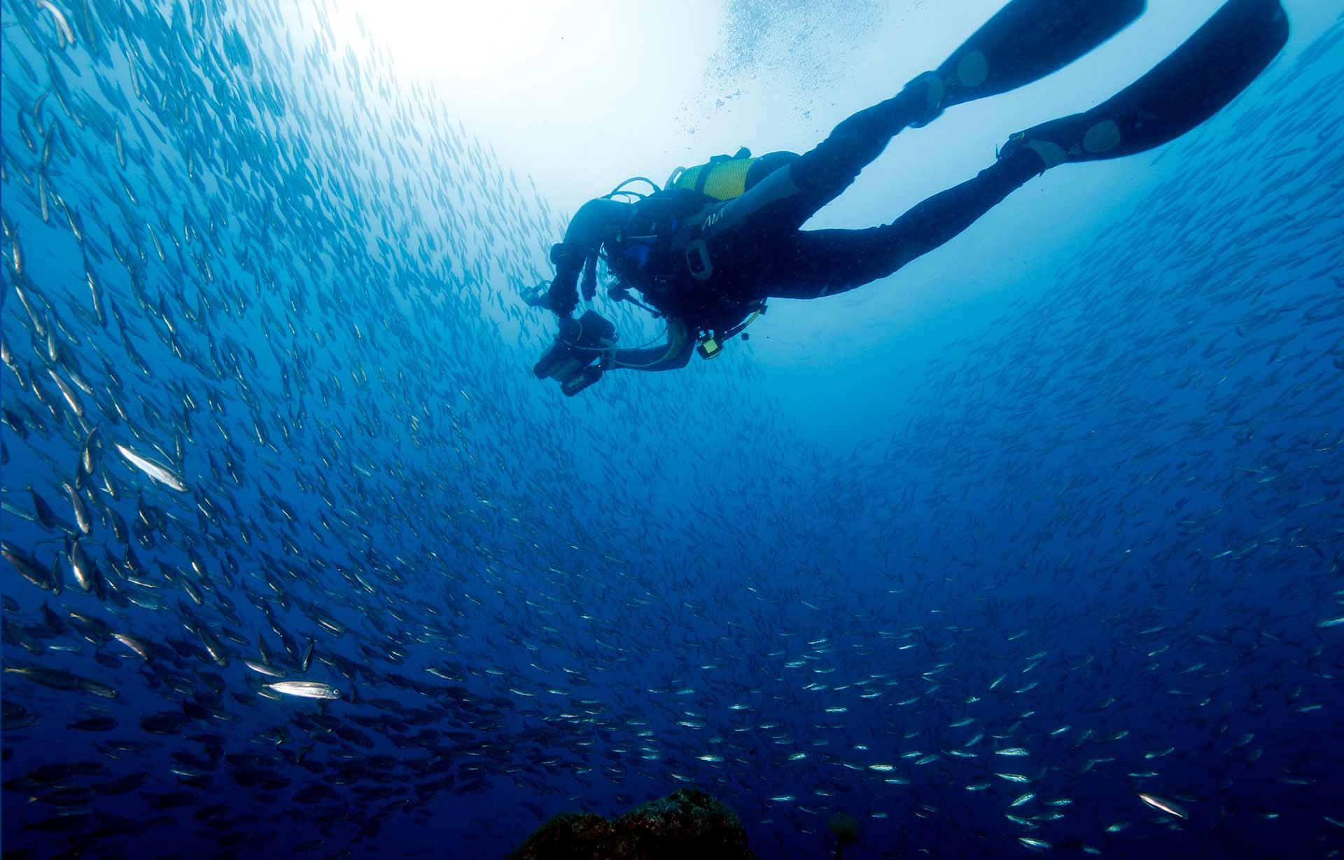 Scubadiver