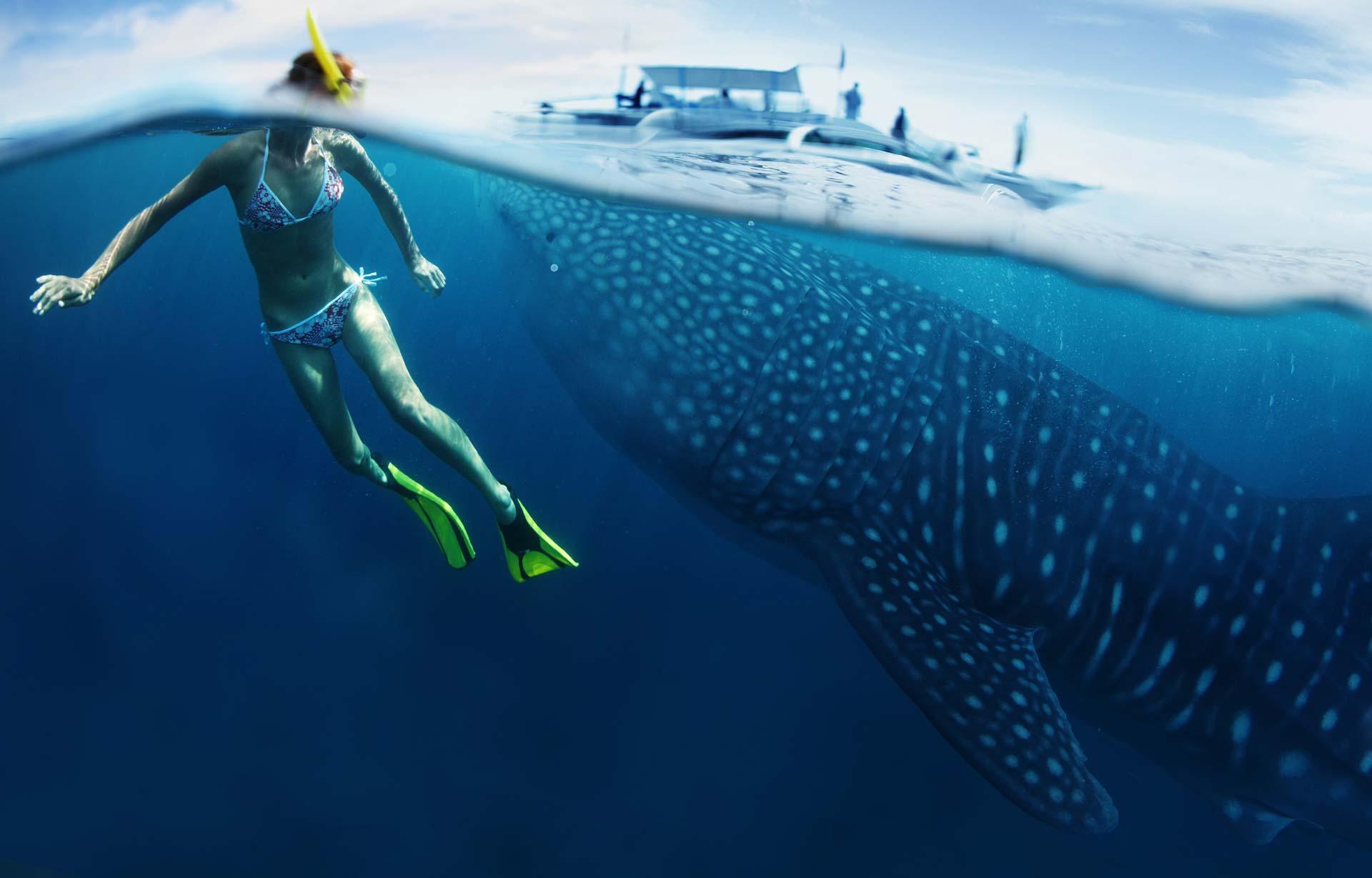Snorkeling