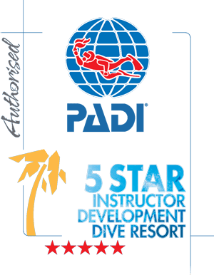 padi 5 star instructor development dive resort
